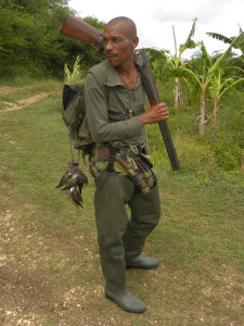 Shorebird hunting