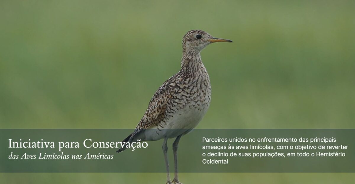 Universal Shorebird webpage