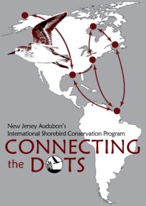 Connecting the Dots logo