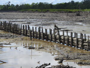 Sediment trapping units at Weg naar Zee. ©A. Lesterhuis 