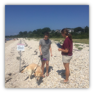 beach steward talking to beach goer with dog