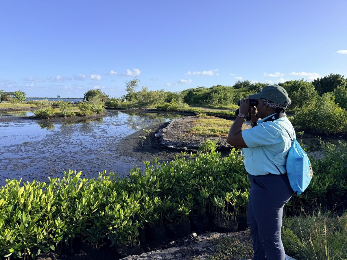 Person with binoculars to their face looking for birds near a water body.