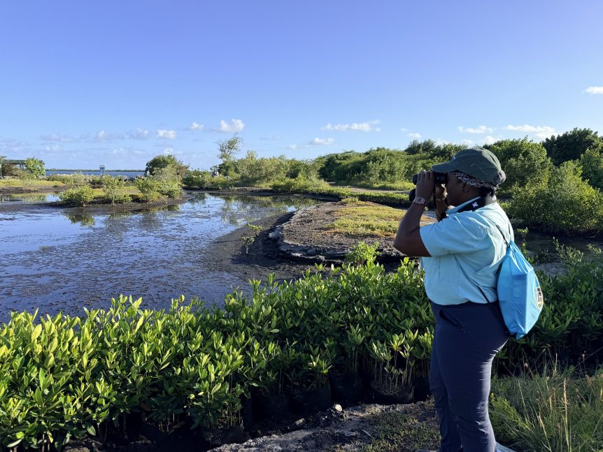 Person with binoculars to their face looking for birds near a water body.