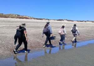 Biologists walking down a shoreline