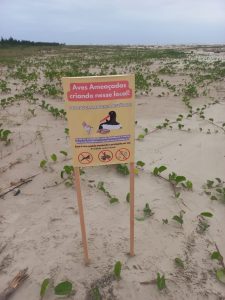 American Oystercatcher breeding area.