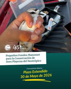 Anuncio de prórroga del plazo para pequeñas subvenciones